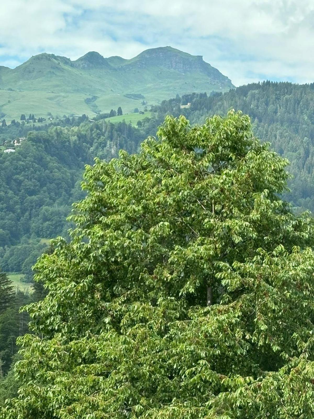 Landgasthof Zum Glenner Ilanz/Glion Exterior foto